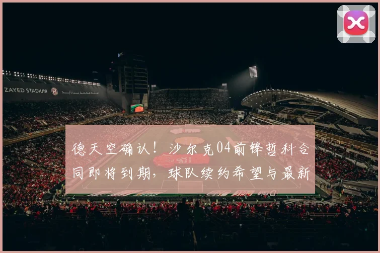 德天空确认！沙尔克04前锋哲科合同即将到期，球队续约希望与最新进展解析