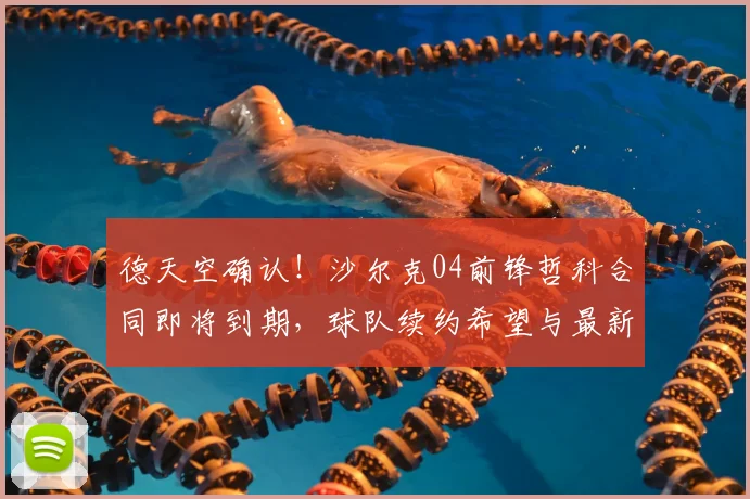 德天空确认！沙尔克04前锋哲科合同即将到期，球队续约希望与最新进展解析